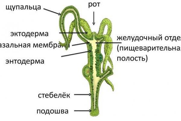 Кракен офф сайт