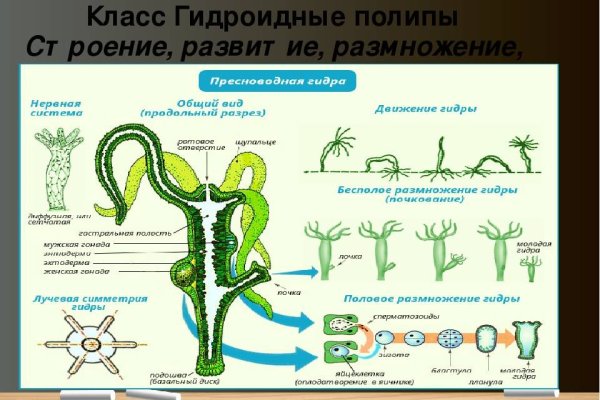 Что такое даркнет кракен