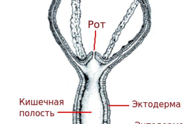 Ссылка кракен kraken014 com