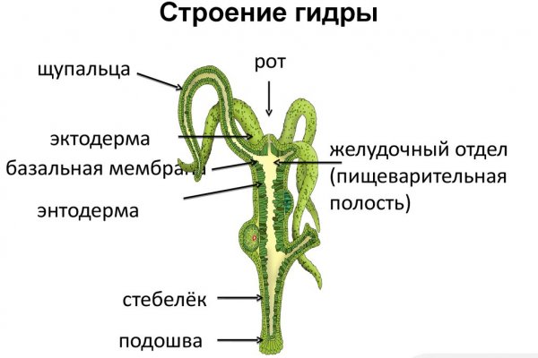 Обход блокировки hydra