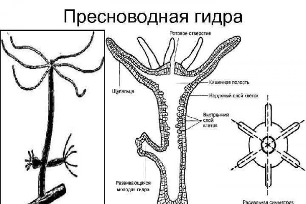 Hydra сайт анонимных продаж