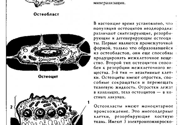 Купон кракен даркнет