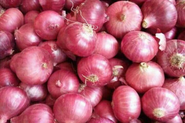 Фишинговые ссылки гидра hydra ssylka onion com