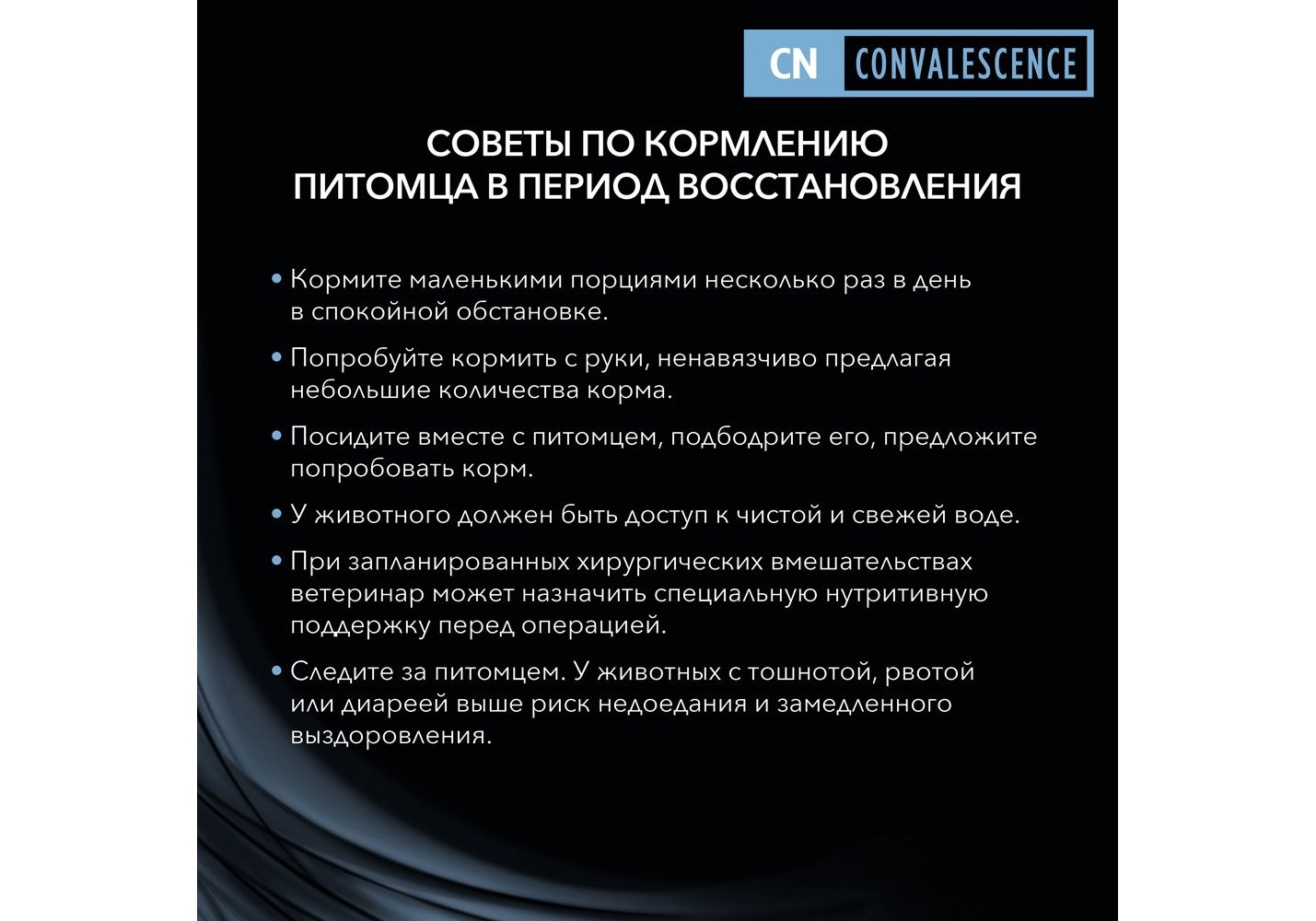 Блэк спрут площадка